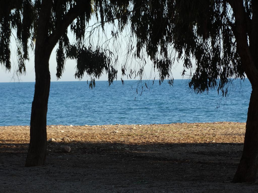 Camping El Torres ビリャホヨサ エクステリア 写真